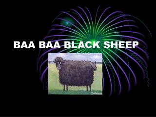 BAA BAA BLACK SHEEP