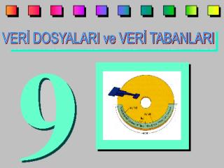 VERİ DOSYALARI ve VERİ TABANLARI