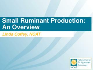 Small Ruminant Production: An Overview