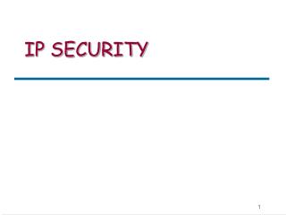 IP SECURITY