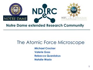 The Atomic Force Microscope