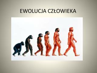 EWOLUCJA CZŁOWIEKA