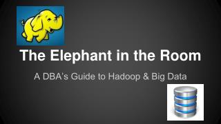 The Elephant in the Room