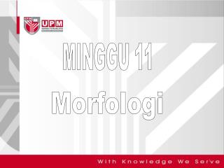 MINGGU 11