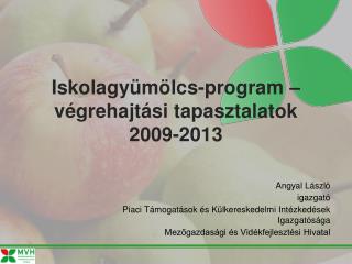 Iskolagyümölcs-program – végrehajtási tapasztalatok 2009-2013