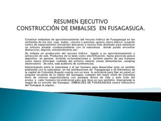 RESUMEN EJECUTIVO CONSTRUCCIÓN DE EMBALSES  EN FUSAGASUGA.