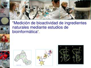 “ Medición de bioactividad de ingredientes naturales mediante estudios de bioinformática ”.
