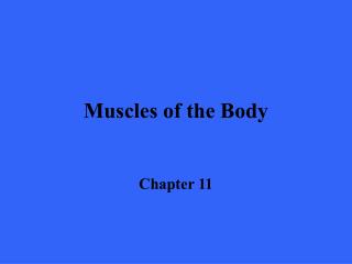 Muscles of the Body