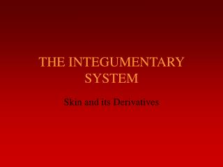 THE INTEGUMENTARY SYSTEM