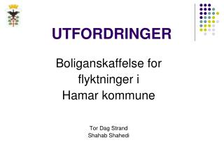 UTFORDRINGER