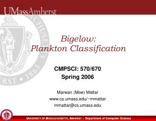 Bigelow: Plankton Classification