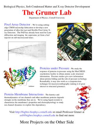 Biological Physics, Soft-Condensed Matter and X-ray Detector Development The Gruner Lab