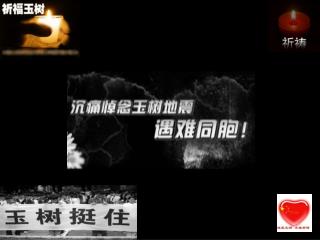 玉树 多么美丽的名字 在春的季节 应该绽放最美丽的花