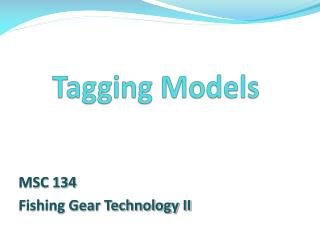 Tagging Models