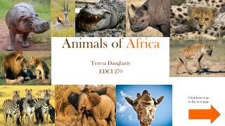 Animals of Africa