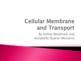 Cellular Membrane and Transport