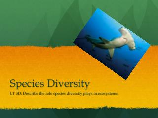 Species Diversity