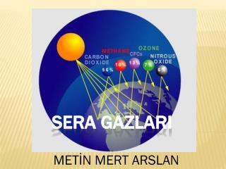 SERA GAZLARI