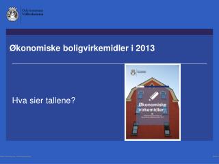 Ø konomiske boligvirkemidler i 2013