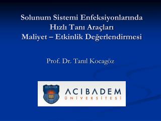 Solunum Sistemi Enfeksiyonlarında Hızlı Tanı Araçları Maliyet – Etkinlik Değerlendirmesi