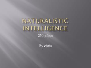 Naturalistic Intelligence