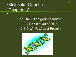 Molecular Genetics Chapter 12