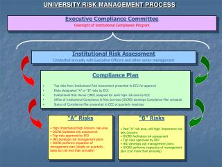 UNIVERSITY RISK MANAGEMENT PROCESS