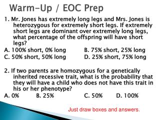 Warm-Up / EOC Prep