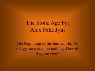 The Stone Age by: Alex Nikodym