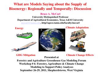 What are Models Saying about the Supply of Bioenergy: Regionally and Temporally: Discussion