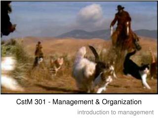 CstM 301 - Management &amp; Organization