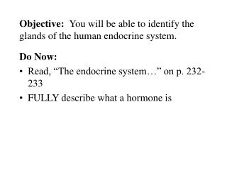 Objective: You will be able to identify the glands of the human endocrine system.