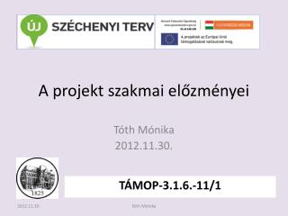 A projekt szakmai előzményei