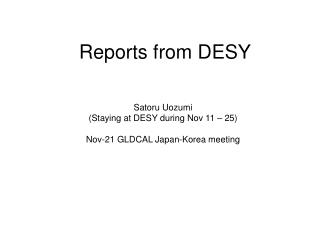 Reports from DESY