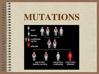 MUTATIONS