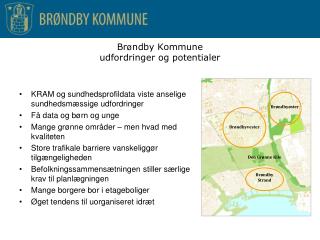 Br ø ndby Kommune udfordringer og potentialer