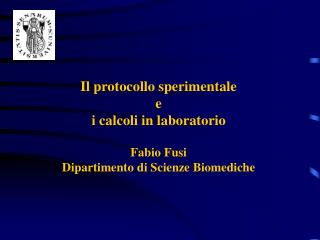 Il protocollo sperimentale e i calcoli in laboratorio Fabio Fusi
