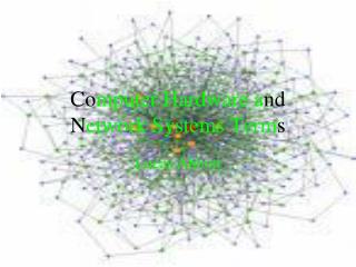 Co mputer Hardware a nd N etwork Systems Term s