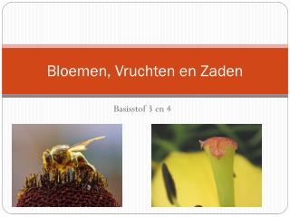 Bloemen, Vruchten en Zaden