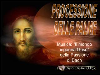 PROCESSIONE DELLE PALME