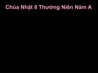 Chúa Nhật 8 Thường Niên Năm A