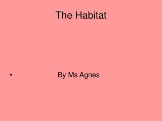 The Habitat