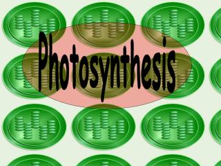 Photosynthesis