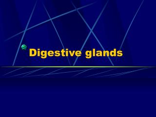 Digestive glands
