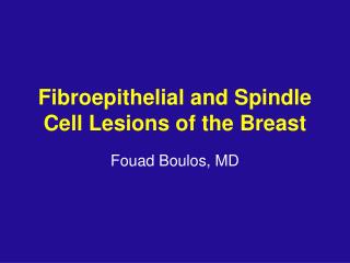 Fibroepithelial and Spindle Cell Lesions of the Breast