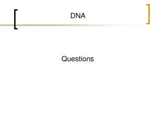 DNA Questions
