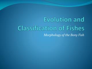 Evolution and Classification of Fishes