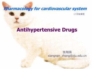 Antihypertensive Drugs