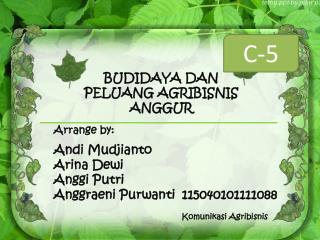 BUDIDAYA DAN PELUANG AGRIBISNIS ANGGUR