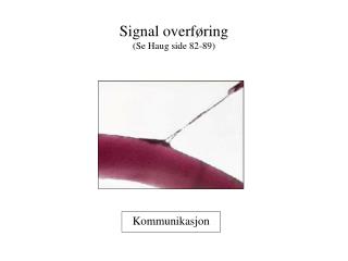 Signal overføring (Se Haug side 82-89)